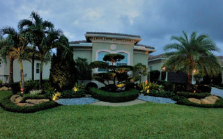 Beautiful Landscape Installation In Parkland, FL