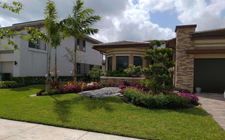 New Beautiful Landscape Installation In Parkland, FL. (MiraLago)