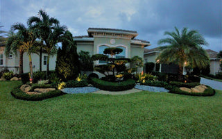 South Florida Landscaping Ideas That Will Wow You and Your Neighbors