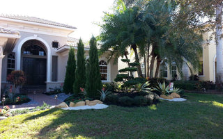Brought This Dull Front Yard Landscape In Boca Raton Back To Life!